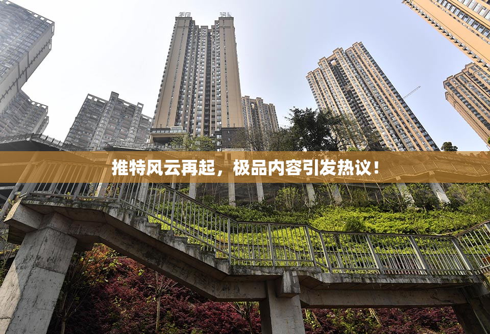 推特风云再起，极品内容引发热议！
