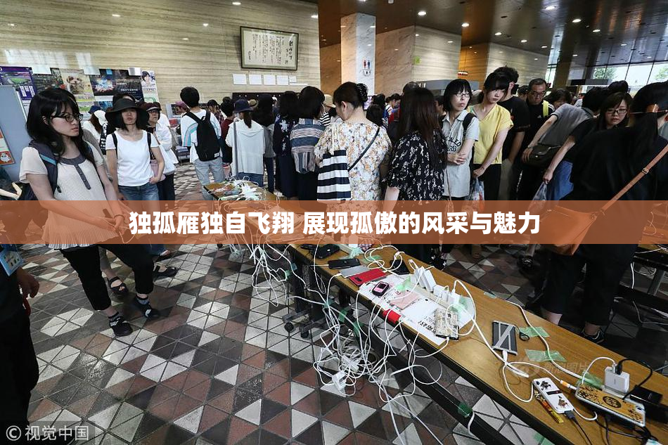 独孤雁独自飞翔 展现孤傲的风采与魅力