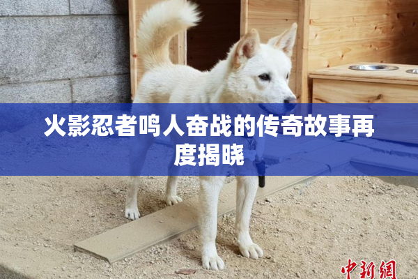 火影忍者鸣人奋战的传奇故事再度揭晓