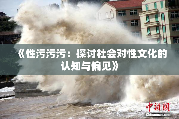 《性污污污：探讨社会对性文化的认知与偏见》