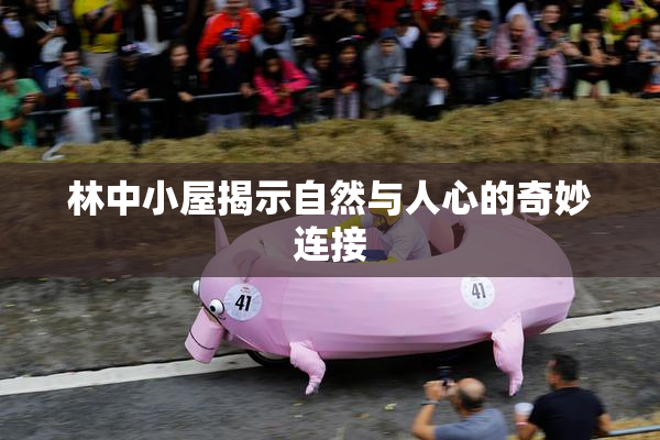 林中小屋揭示自然与人心的奇妙连接