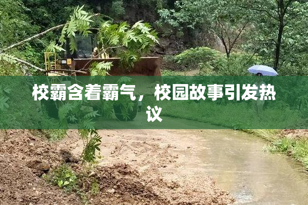 校霸含着霸气，校园故事引发热议