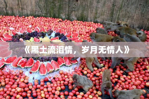《黑土流泪情，岁月无情人》