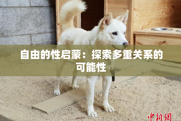 自由的性启蒙：探索多重关系的可能性