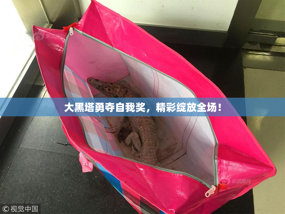 大黑塔勇夺自我奖，精彩绽放全场！