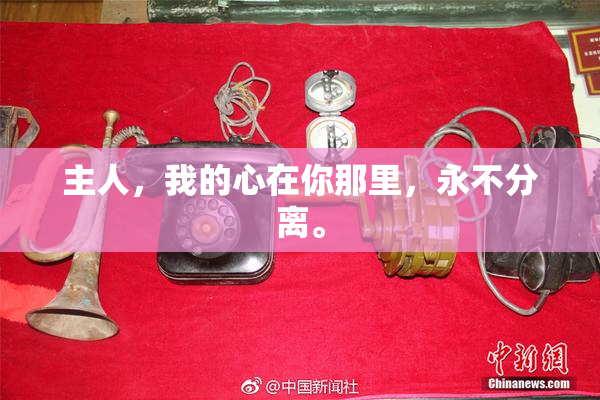 主人，我的心在你那里，永不分离。