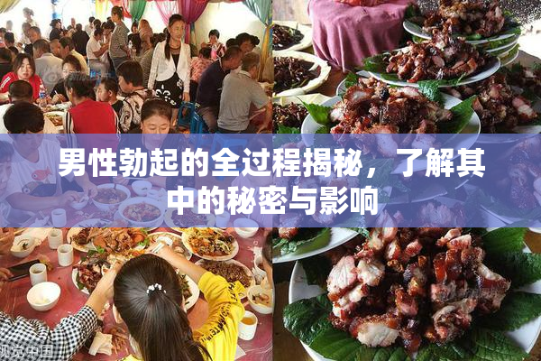男性勃起的全过程揭秘，了解其中的秘密与影响