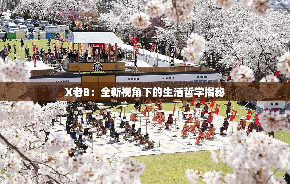 X老B：全新视角下的生活哲学揭秘