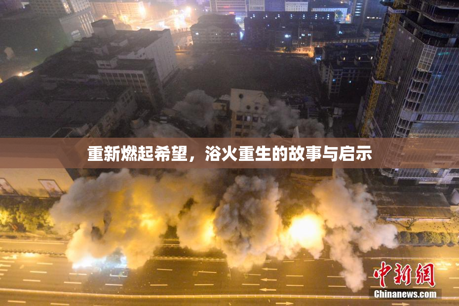 重新燃起希望，浴火重生的故事与启示