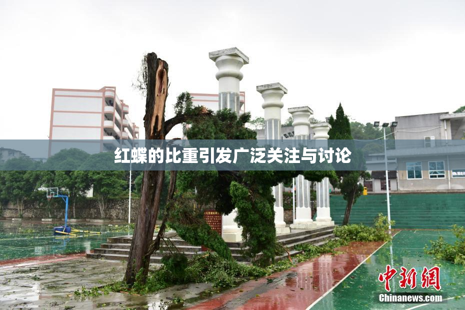 红蝶的比重引发广泛关注与讨论