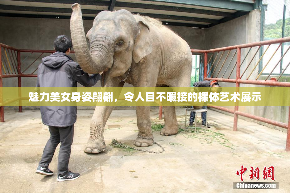 魅力美女身姿翩翩，令人目不暇接的裸体艺术展示