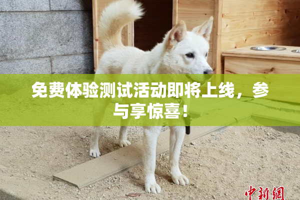 免费体验测试活动即将上线，参与享惊喜！