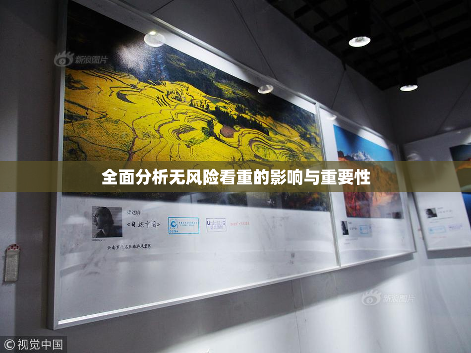 全面分析无风险看重的影响与重要性