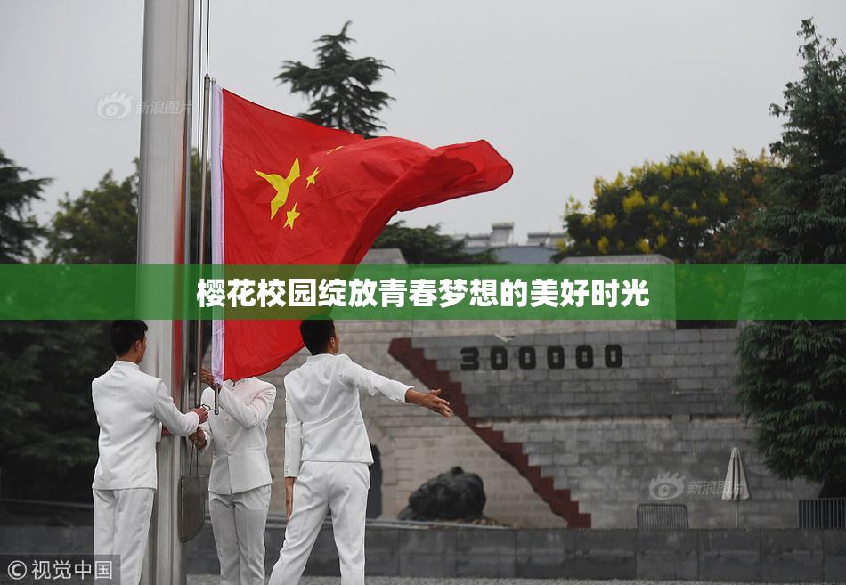 樱花校园绽放青春梦想的美好时光