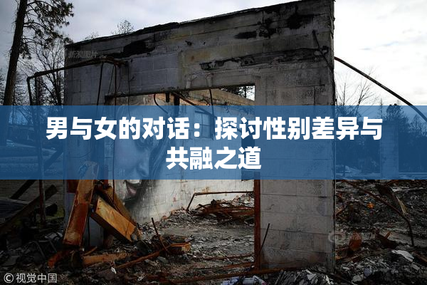男与女的对话：探讨性别差异与共融之道