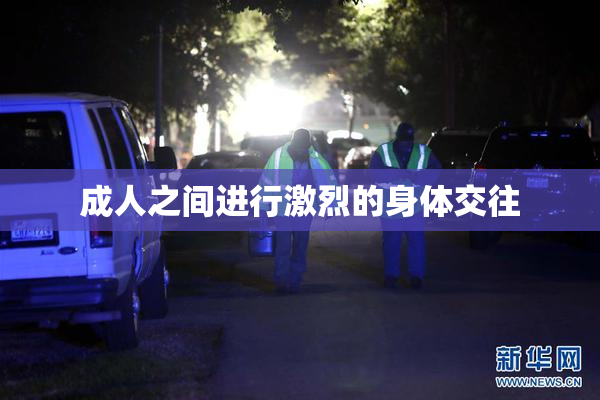 成人之间进行激烈的身体交往