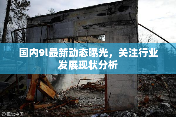 国内9l最新动态曝光，关注行业发展现状分析
