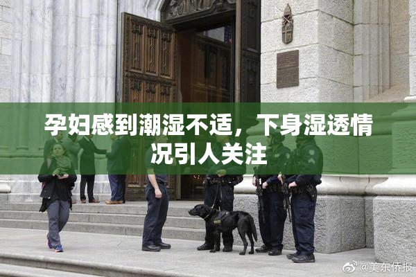 孕妇感到潮湿不适，下身湿透情况引人关注