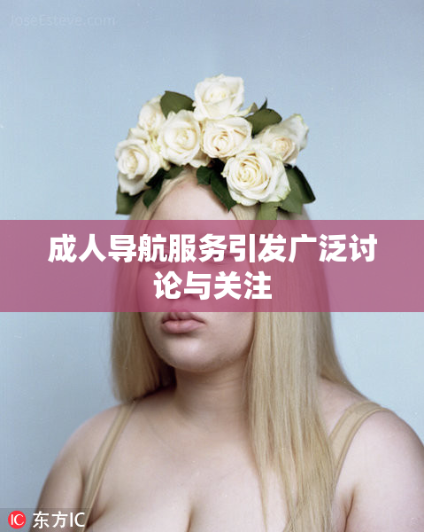 成人导航服务引发广泛讨论与关注