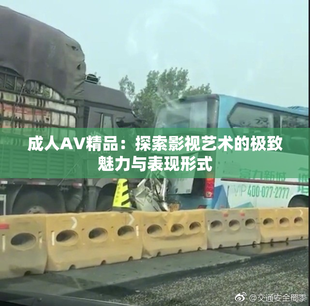 成人AV精品：探索影视艺术的极致魅力与表现形式