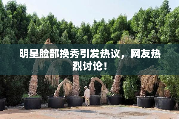 明星脸部换秀引发热议，网友热烈讨论！