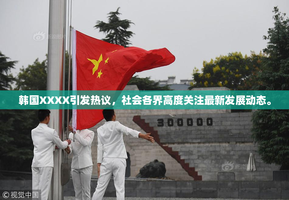韩国XXXX引发热议，社会各界高度关注最新发展动态。