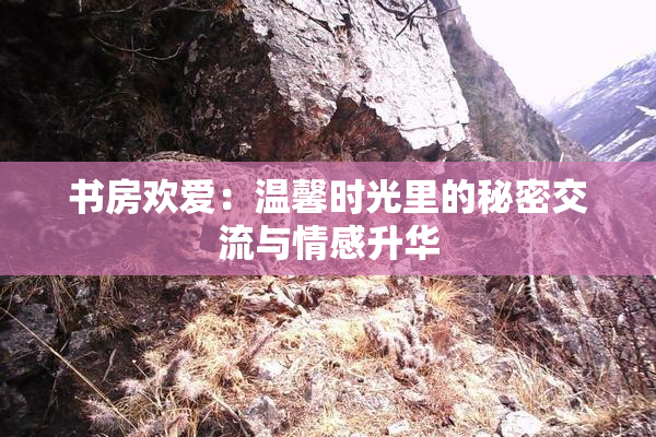 书房欢爱：温馨时光里的秘密交流与情感升华