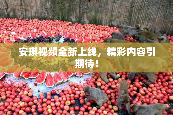 安琪视频全新上线，精彩内容引期待！