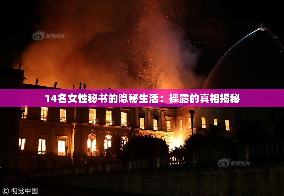 14名女性秘书的隐秘生活：裸露的真相揭秘