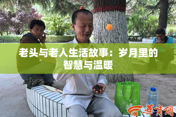老头与老人生活故事：岁月里的智慧与温暖