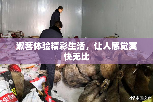 淑蓉体验精彩生活，让人感觉爽快无比