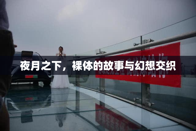 夜月之下，裸体的故事与幻想交织