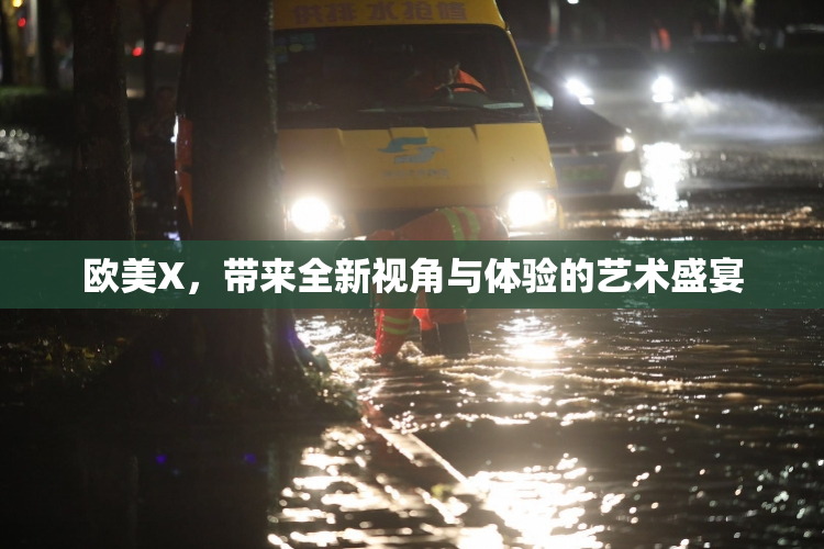 欧美X，带来全新视角与体验的艺术盛宴