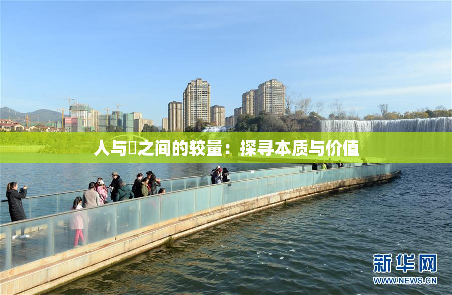 人与嘼之间的较量：探寻本质与价值