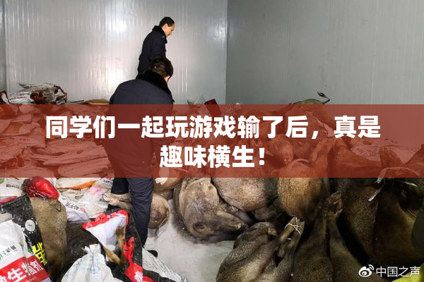 同学们一起玩游戏输了后，真是趣味横生！