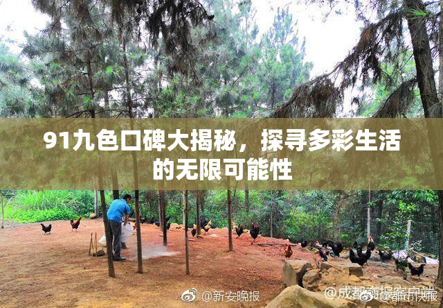 91九色口碑大揭秘，探寻多彩生活的无限可能性
