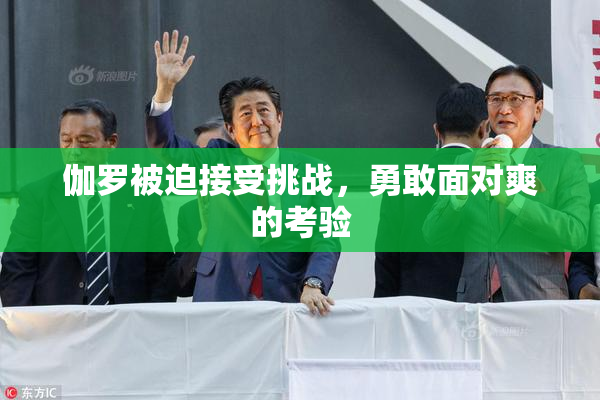 伽罗被迫接受挑战，勇敢面对爽的考验