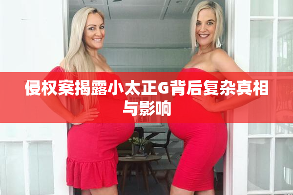 侵权案揭露小太正G背后复杂真相与影响