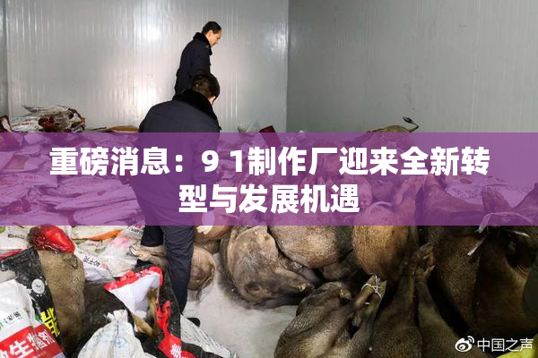 重磅消息：9 1制作厂迎来全新转型与发展机遇