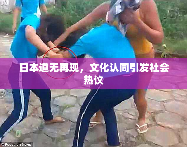 日本道无再现，文化认同引发社会热议