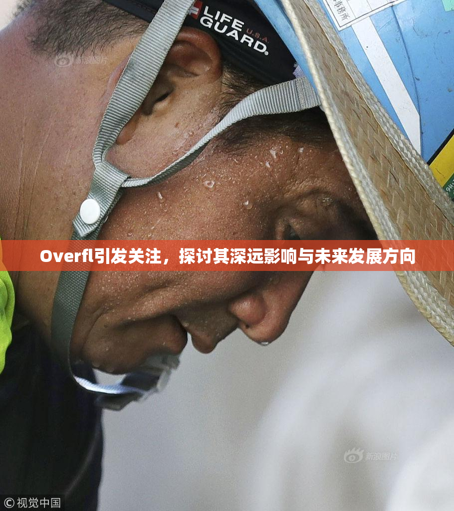 Overfl引发关注，探讨其深远影响与未来发展方向