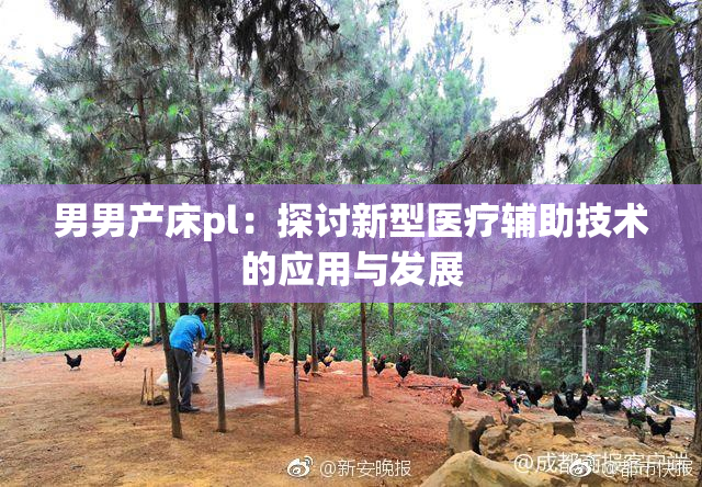 男男产床pl：探讨新型医疗辅助技术的应用与发展