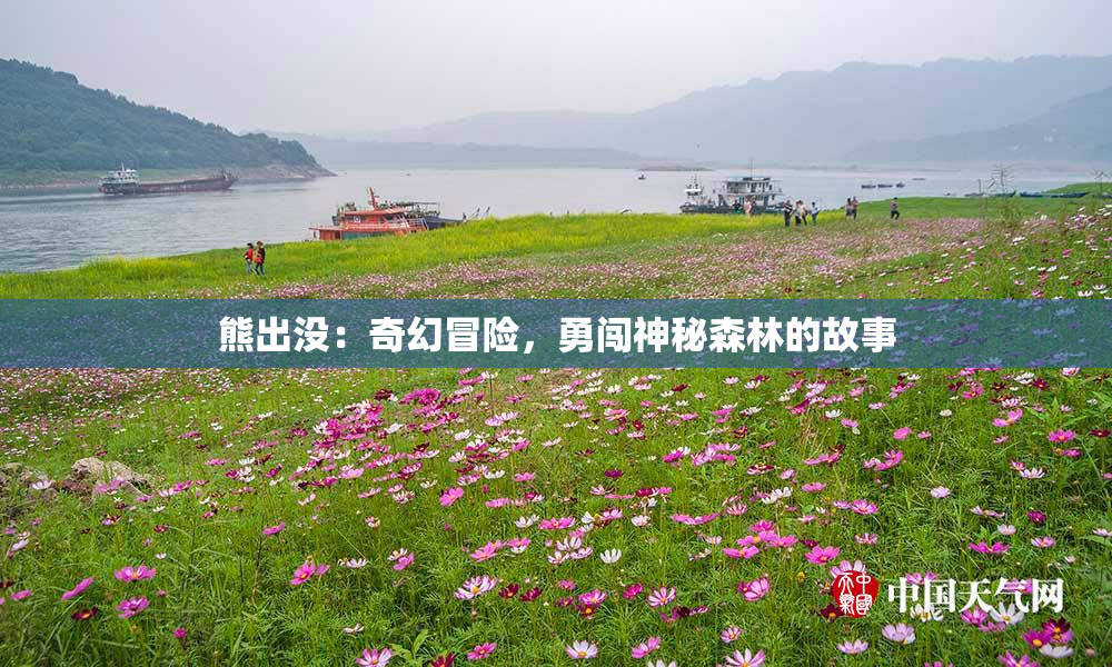 熊出没：奇幻冒险，勇闯神秘森林的故事