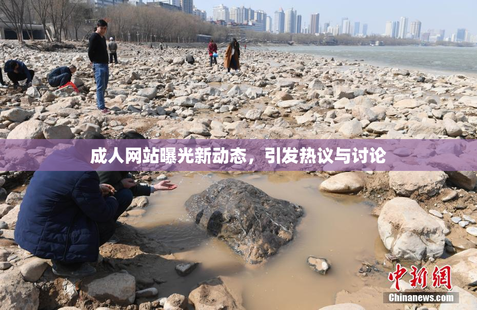 成人网站曝光新动态，引发热议与讨论
