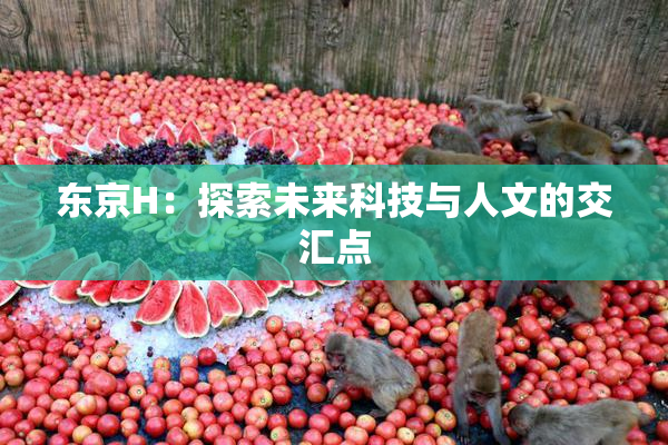 东京H：探索未来科技与人文的交汇点
