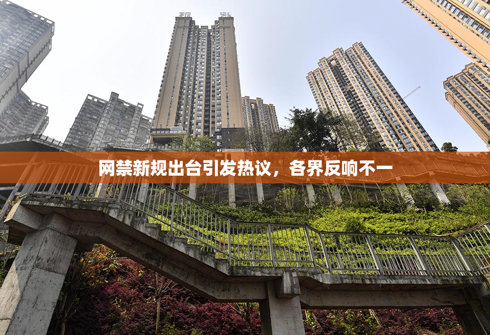 网禁新规出台引发热议，各界反响不一