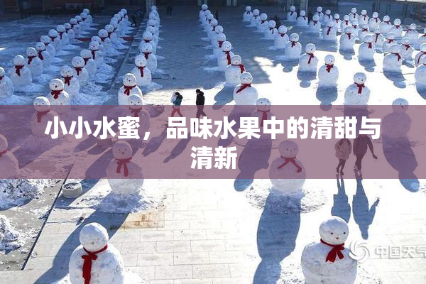 小小水蜜，品味水果中的清甜与清新