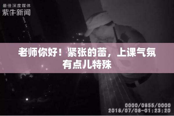 老师你好！紧张的蕾，上课气氛有点儿特殊