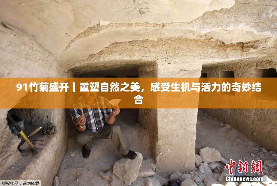 91竹菊盛开丨重塑自然之美，感受生机与活力的奇妙结合