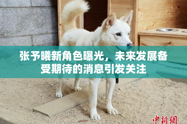 张予曦新角色曝光，未来发展备受期待的消息引发关注